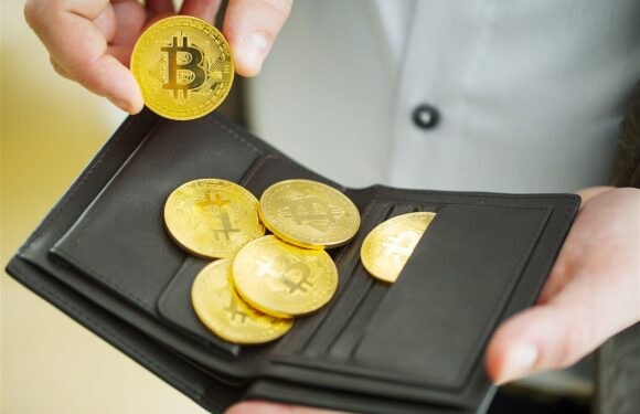 Avis sur Bitcoin Cash : Ce que pense la Communauté