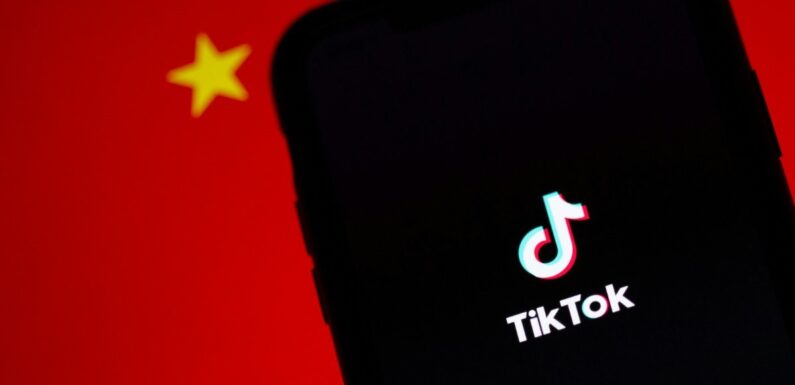 Gagner de l’argent avec TikTok : guide pratique