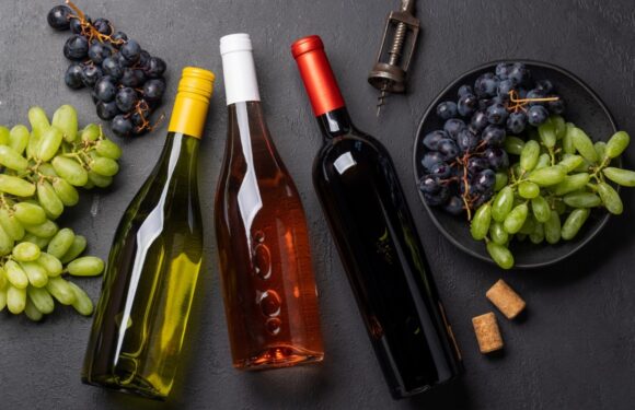 Comment investir dans le vin sans se tromper ?